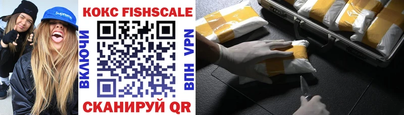 Cocaine FishScale  Купить  Ленск 