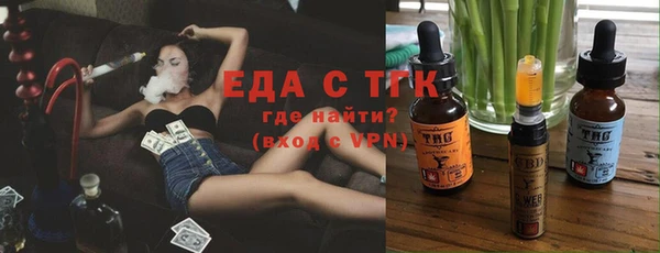 гидра Дмитров