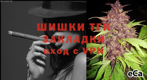 гидра Дмитров