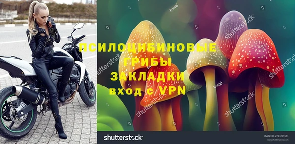 гидра Дмитров