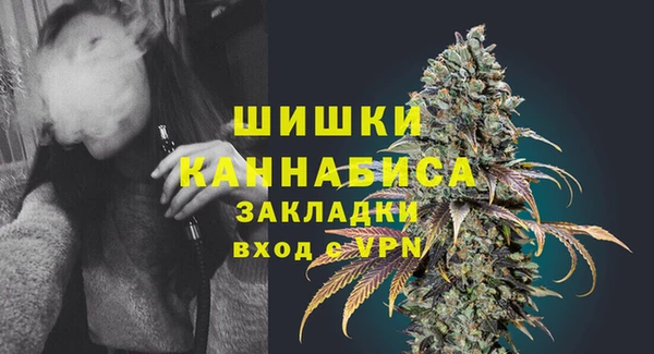 гидра Дмитров