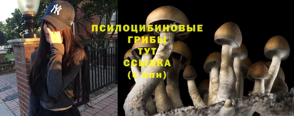 гидра Дмитров