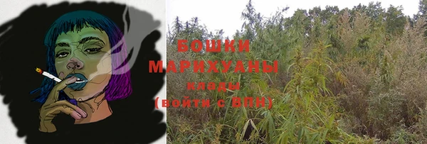 молекула духа Дмитриев