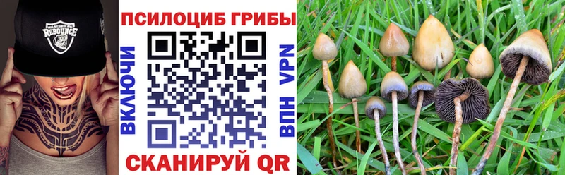 Купить где  Ленск  Галлюциногенные грибы Magic Shrooms 